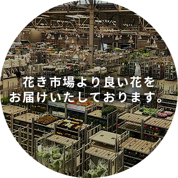 花き市場より良い花をお届けいたしております。