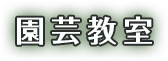 園芸教室
