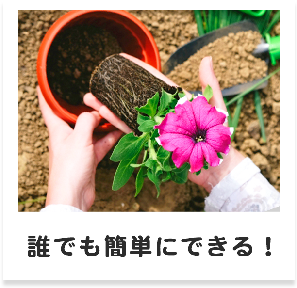 誰でも簡単にできる！