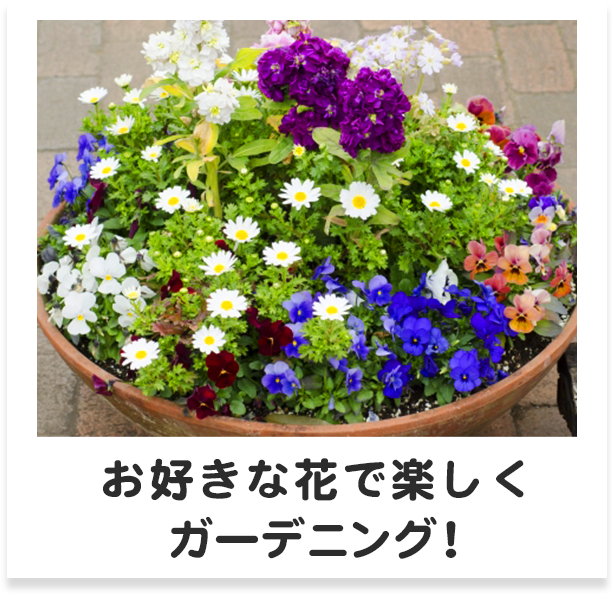 お好きな花で楽しくガーデニング！